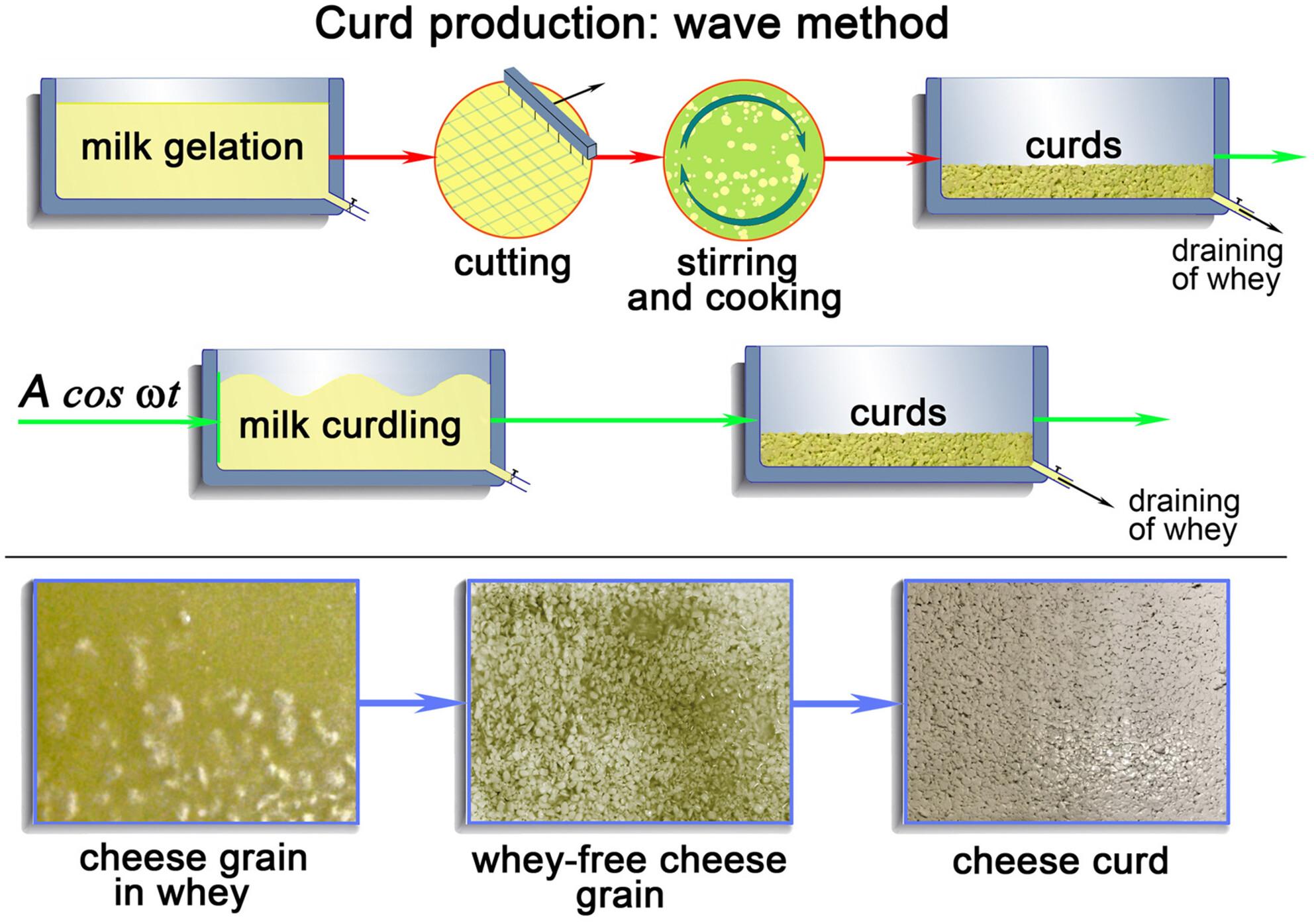 New hydrodynamic (wave) method for obtaining rennet milk curd in cheese production