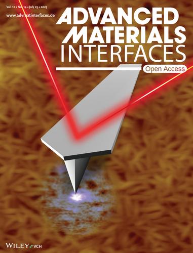 Phase Engineering for Enhanced Piezoresponse in P(VDF-TrFE) and Its Composites (Adv. Mater. Interfaces 14/2025)