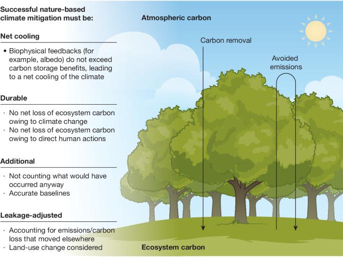 Towards more effective nature-based climate solutions in global forests