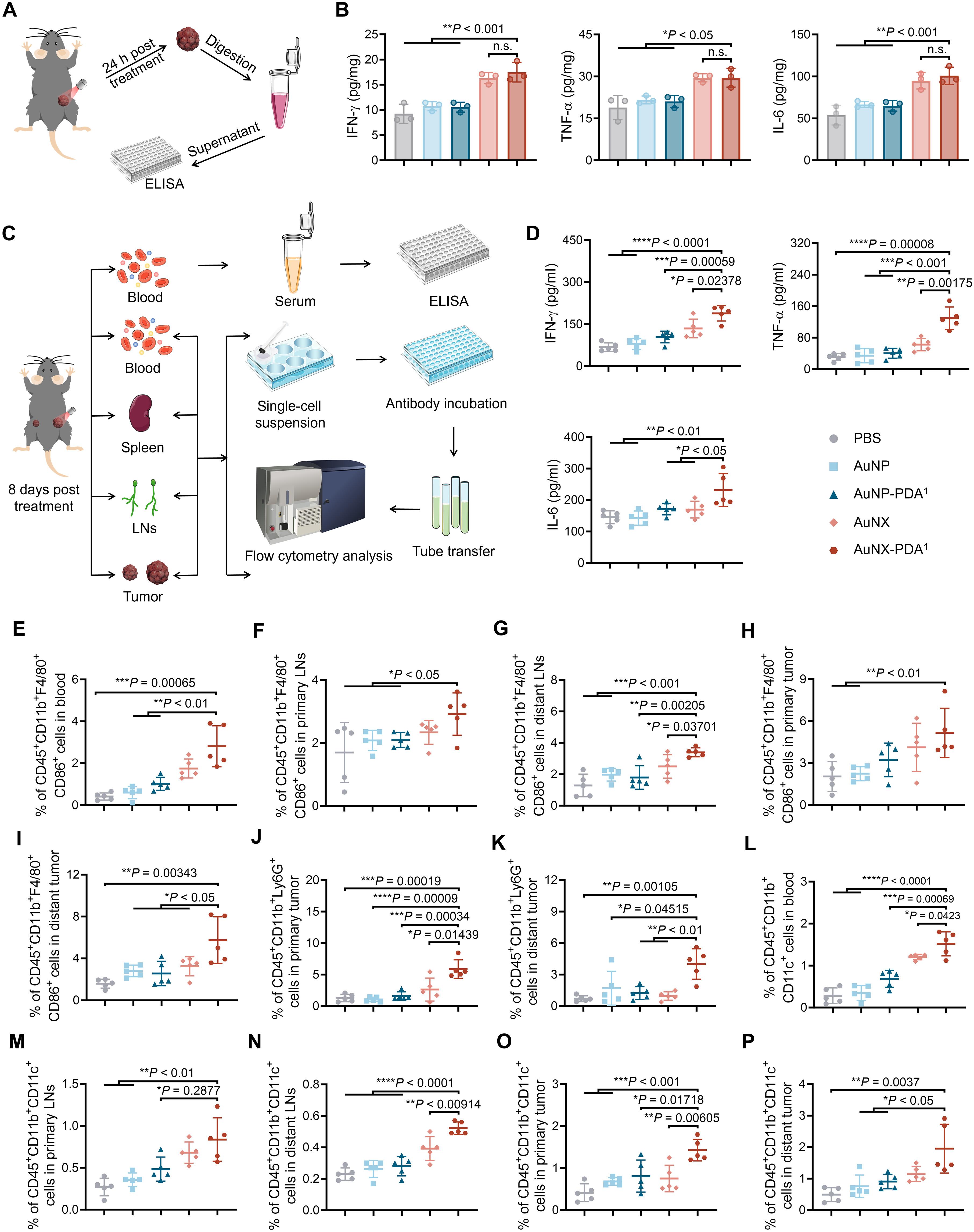 Morphology– and adhesion–dual biomimetic nanovaccine boosts antigen cross-presentation through subcellular transport regulation