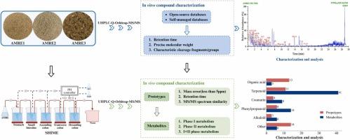 Origin-dependent metabolic variations: How Atractylodes macrocephalae Rhizoma extract’s chemical diversity leads to stage-specific changes in simulated digestion