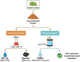 Integrated thermocatalytic and photocatalytic valorization of Hermetia illucens biomass for renewable fuel and chemical production
