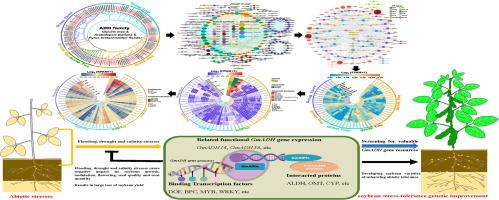 Whole-genome identification, evolutionary decipherment, and expression profiling analyses of alcohol dehydrogenase family members in soybean (Glycine max (L.) Merr.)