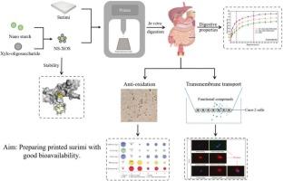 Enhancement mechanism of printed Ca2+-nano starch-xylo oligosaccharide-surimi on antioxidation and transmembrane transport: interaction of digestive products and the cells