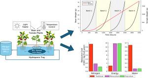 Enhancing sustainable agriculture through optimized polyculture hydroponic operating strategies