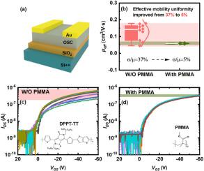 Achieving uniform electrical performance by regulating domain structure in aligned DPPT-TT: PMMA blended layers