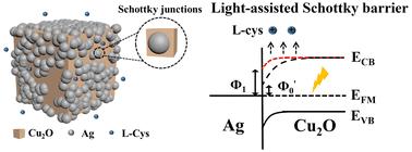 Light-assisted Schottky barrier enhancement for selective detection of l-cysteine using Ni/Cu2O/Ag nanocubes†