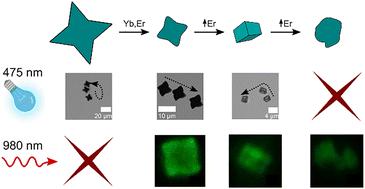 Lanthanoid-doped BiVO4 microswimmers with built-in photon upconversion and light-driven motion†