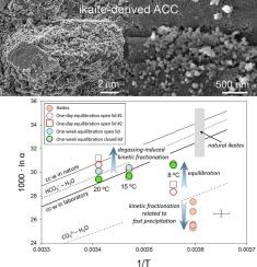 Oxygen isotopic re-equilibration during transformation of ikaite to calcite via amorphous calcium carbonate