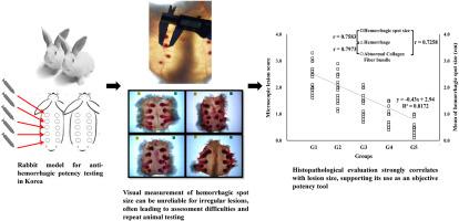 A preliminary exploration of histopathological assessment as a complementary approach to anti-hemorrhagic potency testing of Gloydius antivenom in Korea