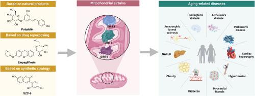 Unraveling the roles of mitochondrial sirtuins in aging-related diseases: From mechanistic insights to therapeutic strategies