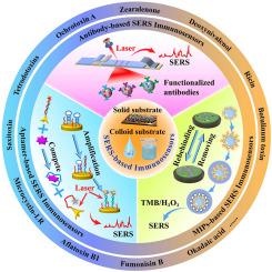 Towards the development of SERS-based immunosensors for detection of biotoxins: Advances and challenges