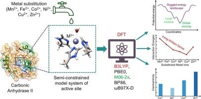 DFT investigation of metal coordination and reactivity in minimal metalloenzyme models