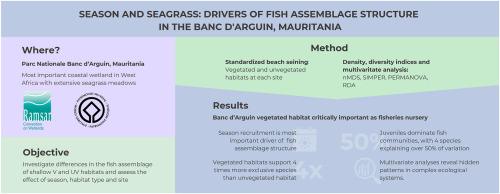 Season and seagrass: drivers of fish assemblage structure in the Banc d'Arguin, Mauritania