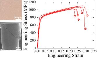 Amorphous complexion-aided sintering enables scalable processing of bulk nanocrystalline Cu-Zr with high strength and compressive plasticity