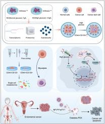 YY1-glycolytic axis promotes high glucose-induced cancer stemness in endometrial cancer: A multi-omics guided therapeutic strategy