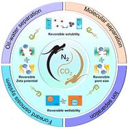 CO2-responsive membrane separation systems: a green solution for efficient separations†