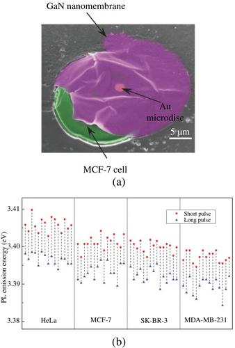 Cellular Temperature Sensing Techniques Leveraging Advantages of Micro/Nano-Thermometers