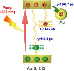 Enhancing photocatalytic H2O2 production via dual optimization of charge separation and O2 adsorption in Au-decorated S-vacancy-rich CdIn2S4