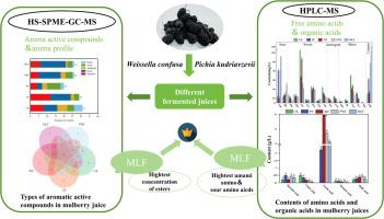 Differences in volatility and organoleptic characteristics of mixed and sequential fermentation of mulberry fruit juices by Weissella confusa and Pichia kudriavzevii using metabolomics analysis