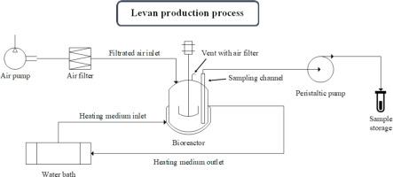 Optimization of levan biosynthesis from Bacillus siamensis using batch and continuous stirred-tank bioreactors: A response surface methodology approach