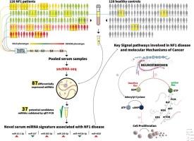 Serum miRNAs as biomarkers in Neurofibromatosis 1: New promising findings