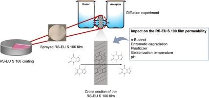 Insight in the role of resistant starch and Eudragit S 100 in a coating for controlled release in the colonic region