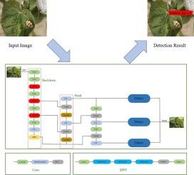 Detection of cotton pests using an enhanced deep learning model