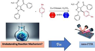 Copper-decorated chitosan organocatalyst for sonophotocatalytic CH arylation of pyrazoles: Mechanistic insights and eco-friendly perspective
