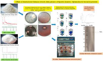Affinity of rhizobacterial chitinases towards chitin polymers from shrimp exoskeleton and fungal cell wall: Optimization for effective biocontrol potentials
