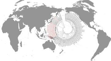 Genomic characteristics and phylogenetic analysis of human adenovirus 14 in China during 2010–2016