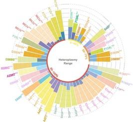 The genotype/phenotype conundrum of inherited mitochondrial disorders: Insights from a survey of mtDNA mutations associated with Leigh syndrome in complex I
