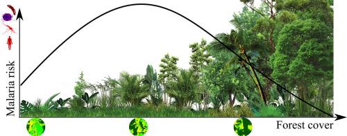 Intermediate forest cover and malaria risk in an Amazon deforestation frontier
