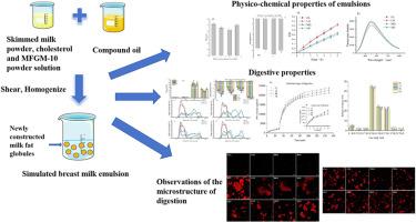 Insights into the construction and in vitro digestion of simulated breast milk fat globules: the role of cholesterol at the interface