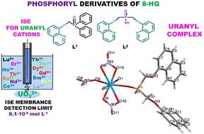 Phosphoryl-containing derivatives of 8-hydroxyquinoline for the selective detection of uranyl cations†