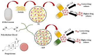 Sericin–polyethylene glycol hydrogel as an innovative excipient for progesterone delivery: formulation development, characterization, molecular docking and toxicity evaluation