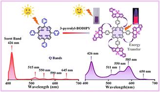 Synthesis and studies of meso-3-pyrrolyl BODIPYnyl porphyrins†