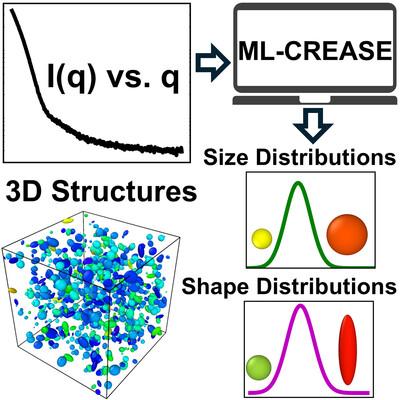 Quantifying dispersity in size and shape of nanoparticles from small-angle scattering data using machine learning based CREASE