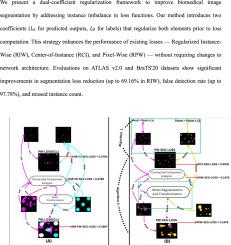 A novel regularization approach for loss functions to reduce instance imbalance in biomedical image segmentation