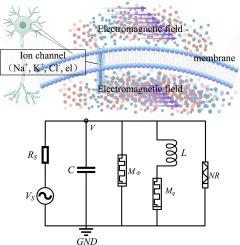 Electromagnetic modulation of memristor-based neuronal dynamics