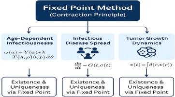 Solving age-dependent infectious diseases and tumor growth models using the contraction approach