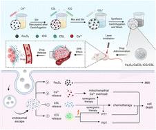 A pH-responsive nanoplatform enhancing tumor therapy via calcium overload-induced oxidative stress to potentiate phototherapy and chemotherapy†