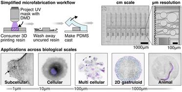 Teach your microscope how to print: low-cost and rapid-iteration microfabrication for biology†