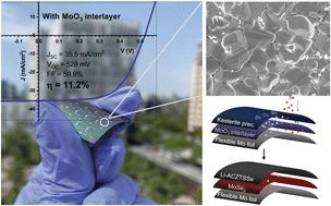Strategies for back contact engineering in high-performance flexible kesterite solar cells†