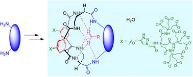 Bicyclic anionic receptors for carboxylates in water†