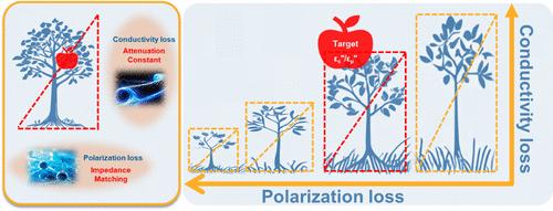Advanced Microwave Absorption in Woven Structures: The Role of Conductivity-Polarization Loss Synergy