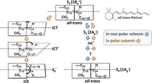 Resolving Dual Photoreaction Channels of All-Trans-Retinal Using Femtosecond Stimulated Raman Spectroscopy