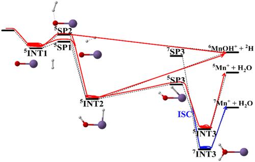 Kinetics and Product Branching in Dihydrogen Activation by Gaseous Manganese Monoxide Cations