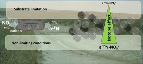 Nitrate and Carbon Availability as Drivers of Isotopic Fractionation of Nitrate in Estuarine Sediments