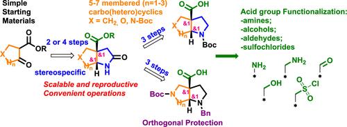 New Saturated Bicyclic Pyrrolidines: The Multigram Synthesis and Orthogonal Functionalization